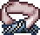 일월선류